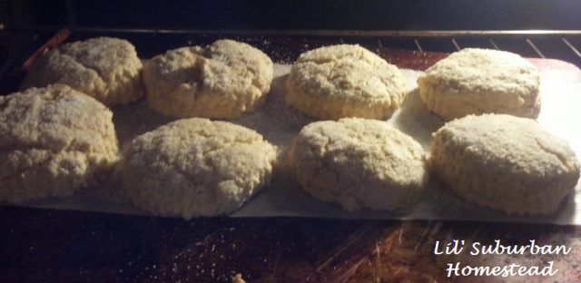 scones almost done