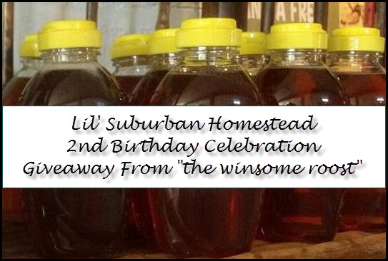 Lil' Suburban's 2nd Birthday Honey Giveaway From the winsome roost
