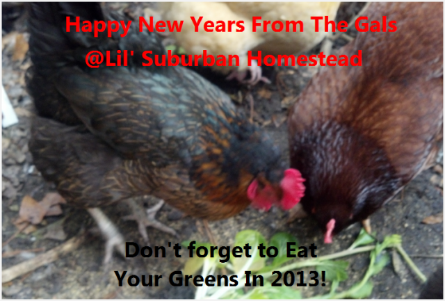 Happy New Years From The Gals At Lil' Suburban Homestead